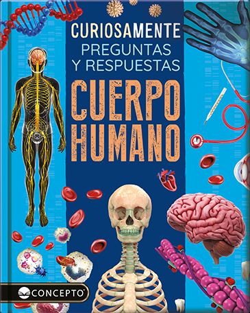 Preguntas y respuestas, el cuerpo humano